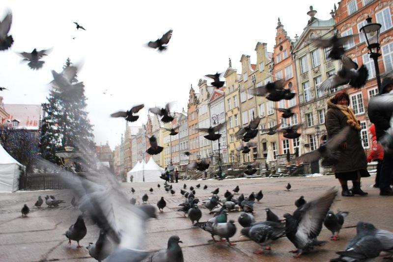 Apartament Sloneczne Poludnie Danzica Esterno foto